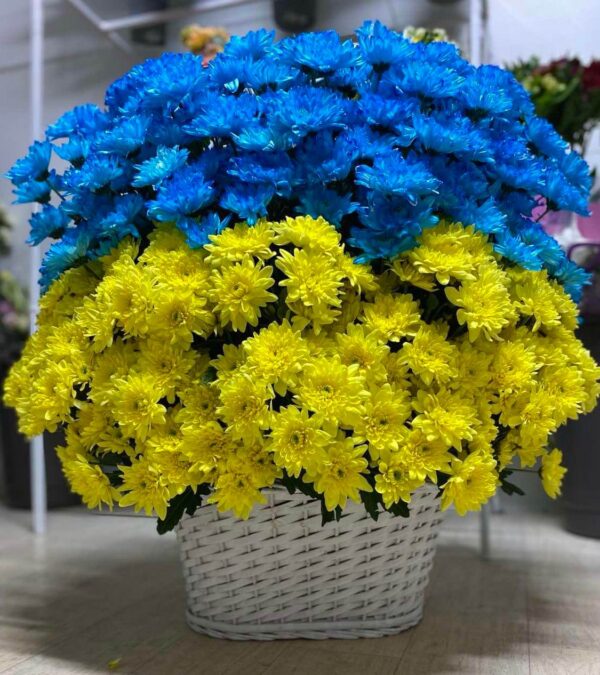 изображение_viber_2023-11-02_12-48-24-165